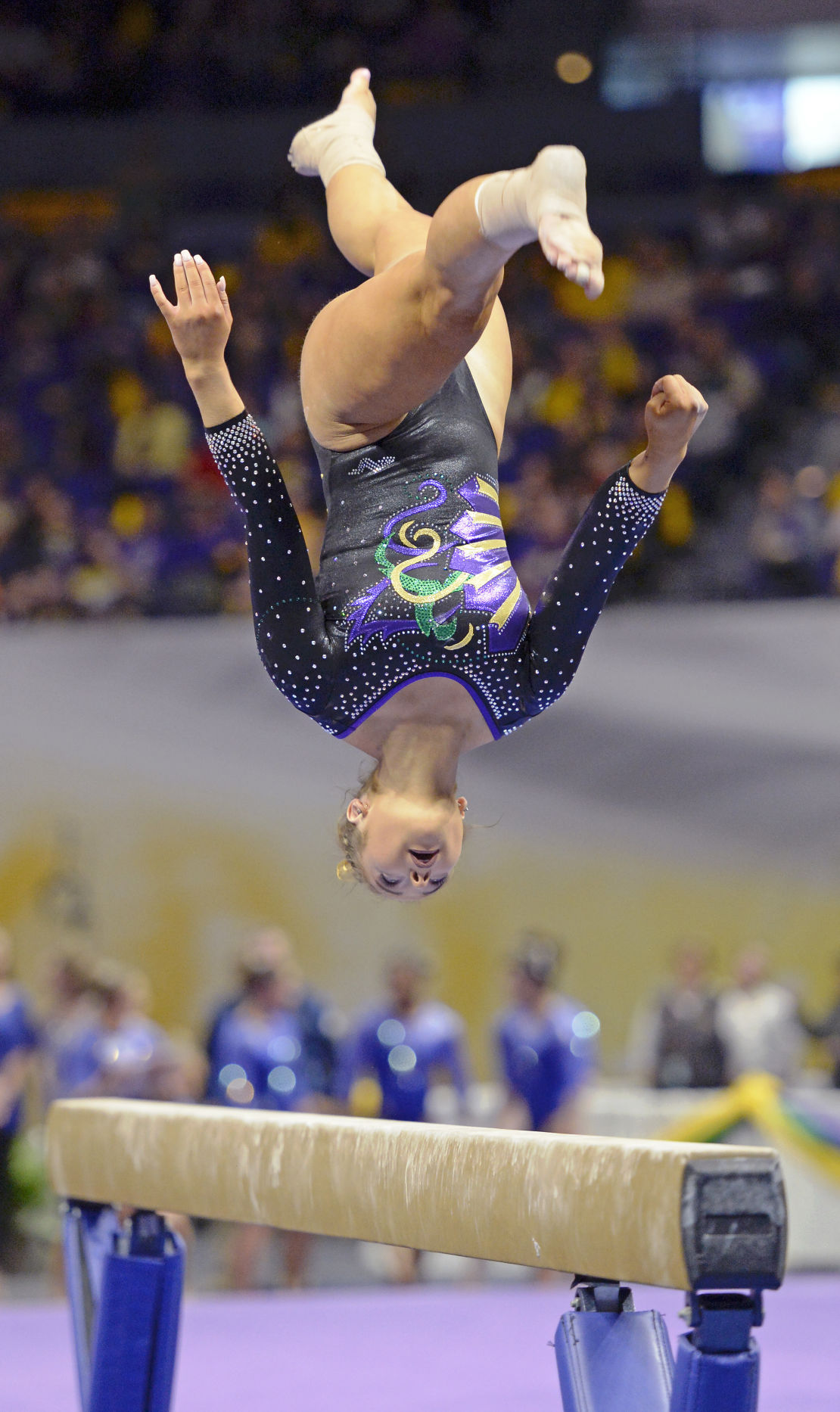 lsugymnastics0608.020318 bf